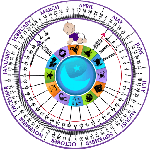 Gestation calculator by edd MayshaJette